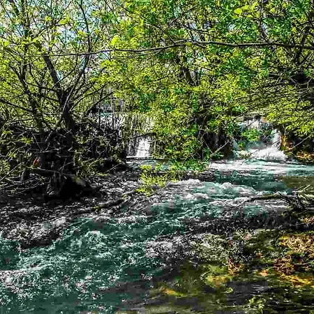 Emotion Bihac